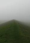 Deich an der Nordsee