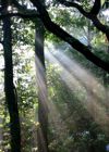 Herbstnebel